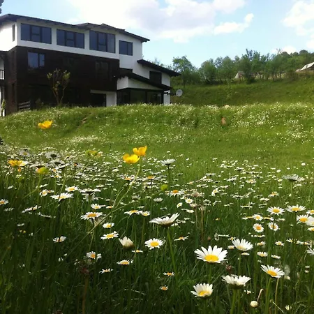 Talhaus-3
